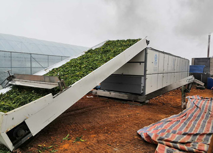 hemp dryer